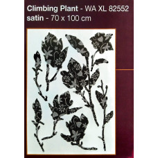 82552 - Climbing Plant