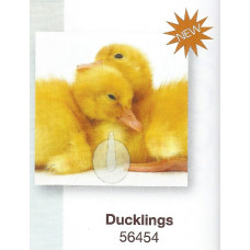 56454 Magic HOOK Ducklings