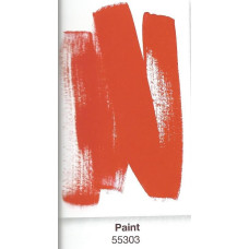 55303 - Paint