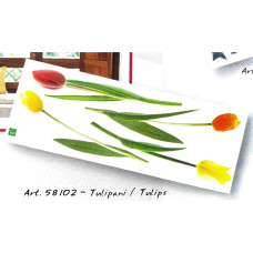 58102 - Tulips