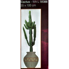 35388 - Cactus