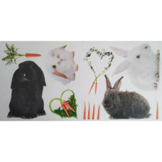 54451 - Bunnies