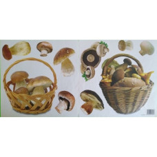 54322 - Mushrooms