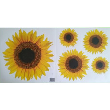 54106 - Sunflower