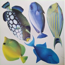 42101 - Tropical Fishes (Glow)