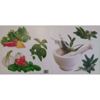 54323 - Aromatic Herbs