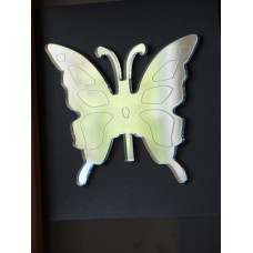 5007 - Butterfly