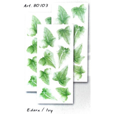 80103 - IVY