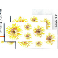 80104 - Sunflower