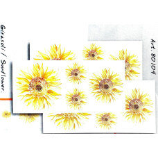 80104 - Sunflower