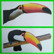 59456 - Toucans