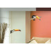 59456 - Toucans