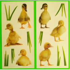 59454 - Duck