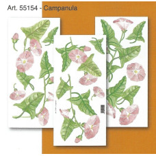 55154 - Campanula