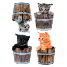 43007 - Little Cats