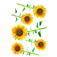 43009 - Sunflowers