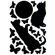 43301 - Curious Cat