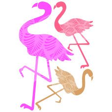 57705 - Flamingos