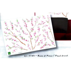 57101 - Peach Branch