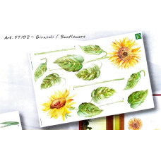 57102 - Sunflowers