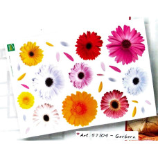 57104 - Gerbera