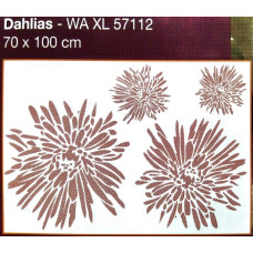 57112 - Dahlias
