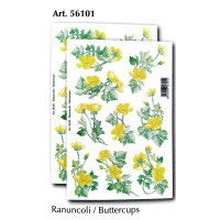 56101 - Buttercups