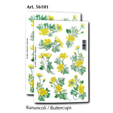 56101 - Buttercups