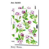 56103 - Roses
