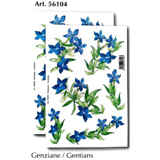 56104 - Gentians