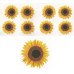 45005 - Sunflowers