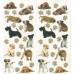 60456 - DOG