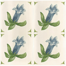 60101 - Gentian