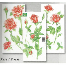 55111 - Roses